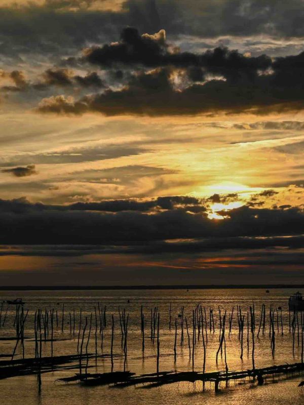 Photo du Bassin d'Arcachon du photo club de Bordeaux
